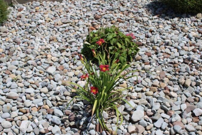 Greenville, PA Commercial Landscape Maintenance Team